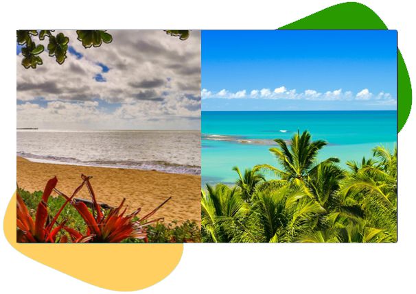 Descubra o Conteúdo Interativo